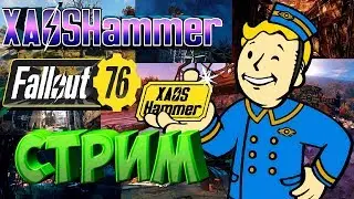 Дэйлики + Фармим рюкзак(холодильник) Fallout 76