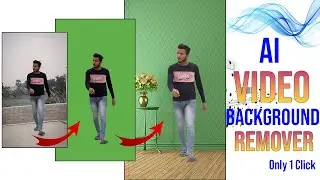 How To Remove Background From Video | Hitpaw Se Video Ka Backgroud Remove Kaise Kare