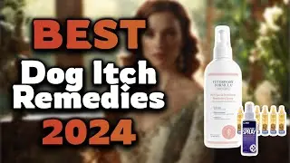 Top Best Dog Itch Remedies in 2024 & Buying Guide - Must Watch Before Buying!