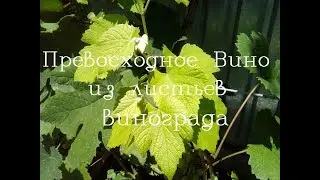 Вино из листьев винограда полный процесс.Wine from grape leaves.обалденный напиток