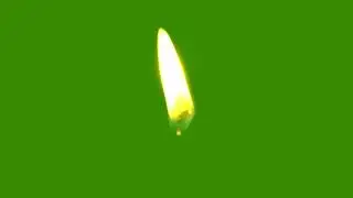candle flame l green screen candel flame l nocopy right