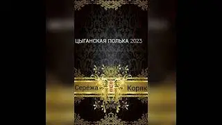 ЦЫГАНСКАЯ ПОЛЬКА ШУМИТЕ ЦЫГАНЕ 2023(Серёжа Коряк)