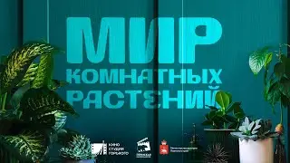 Научно-популярный сериал Мир комнатных растений (4 серия)