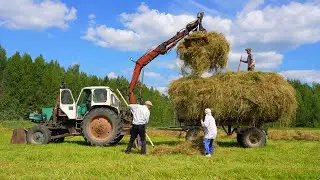 Summer In Rural Russian North. Hay making in village far from civilization. Russia 2024