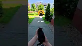 котёнок в ТГ - pawNEpaw