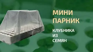 Мини парник для проращивания семян клубники