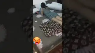 zapal