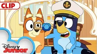 Bluey Season 3 Episode 22 Whale Watching Episode Clip | @Disney  | @BlueyOfficialChannel