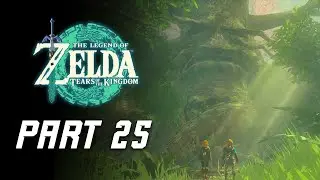 Legend of Zelda Tears of the Kingdom Walkthrough Part 25 - Saving the Great Deku Tree