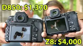 Nikon Z8 vs D850: Its FINALLY time for MIRRORLESS!