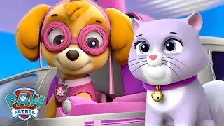 PAW Patrol Skye Makes a Back to School Rescue! w/ Chase & Ryder | Shimmer and Shine