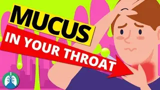 Causes of Constant Phlegm and Mucus in Your Throat (Clearing Congestion)