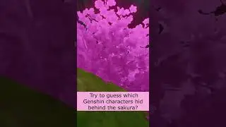 Try to guess which Genshin characters hid behind the sakura 7
