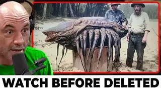 JRE: “Scientists Confirm These Objects Are From A Parallel Universe”