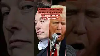 Илон Маск оформил покушение на Трампа?