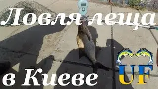 Рыбалка на Днепре. Ловля леща на Днепре. Новая набережная.