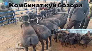 Маргилон Комбинат куй бозори нархлари 2 Февраль