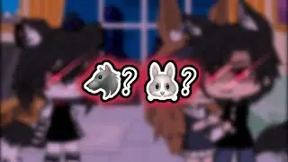 🐰 || rabbit or wolf? ||🐺 {gacha meme}