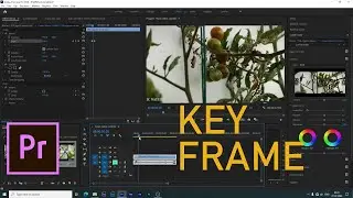 🆕how To Use Key Frames In Premiere Pro 🏻 Premiere Pro Keyframes Not Working Check It Out!