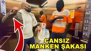 ASANSÖRDE CANSIZ MANKEN ŞAKASI