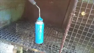 100% СПОСОБ  ЗАЩИТЫ НУТРИЙ ОТ БОЛЕЗНЕЙ.