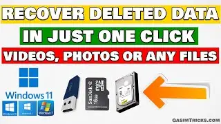 How To Recover Any Deleted Files on Windows 11? Best Data Recovery Software Tenorshare 4DDiG