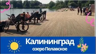Ох уж этот Калининград/Кёнигсберг-Родина 