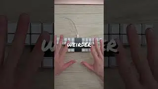 The 