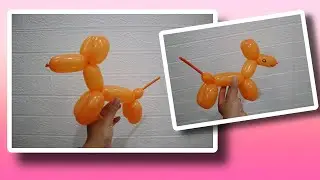 How to make A Dog Baloon Animal