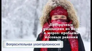 Прозрачные выделения из носа в мороз: проблема носовых раковин