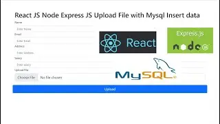 React JS Node Express JS Upload File with Mysql Insert data