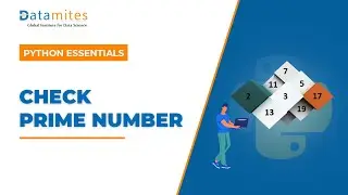 Check prime number in Python | Python Tutorial