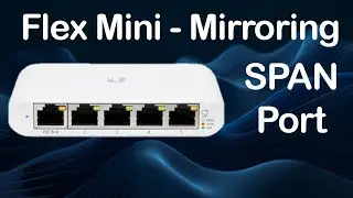 Ubiquiti Flex Mini - TAP/SPAN/Mirror/Capture the traffic