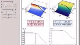 Radial Temperature and Concentration Gradients in a Packed Bed Reactor
