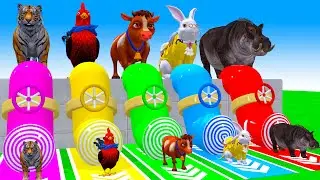 Long Slide Game With Elephant Gorilla Buffalo Hippopotamus Tiger 3d Animal Game Funny 3d Animals
