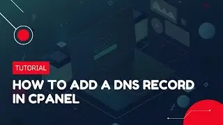 How to add a DNS record in cPanel | Hosting Tutorial