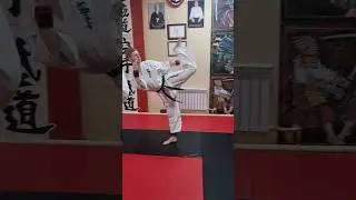 Специальное упражнение в каратэ-brazilian Mawashi geri kick. 