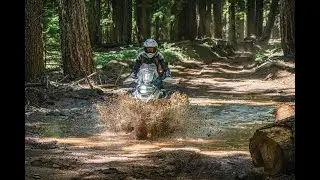 Ride the Oregon BDR!