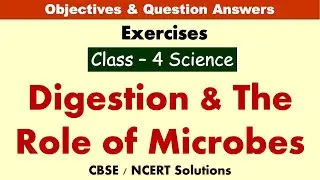 Digestion & The Role of Microbes | Class : 4 Science | Exercises & Question Answers | CBSE-Solutions