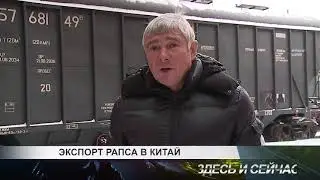 экспорт рапса в китай