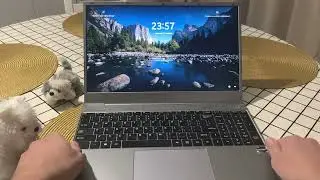 Digma EVE 15 C423 на Ryzen 3 - оптимальный выбор?