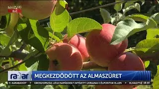 Radar - Megkezdődött az almaszüret (2023-09-19) - HÍR TV