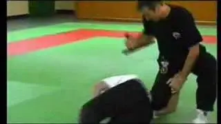 Tonfa & Police Baton