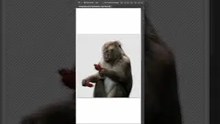 Make Clean Selections with Fauna Fables 🐒  #shorts #photoshop​