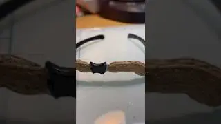 These shades are nuts! 🥜 #sunglasses #fiveminutecrafts #diy #diycrafts