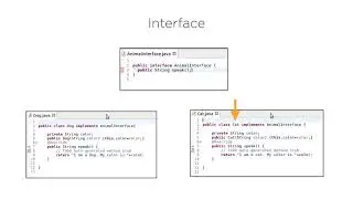 Java: Object Oriented Programming Concepts - Abstraction