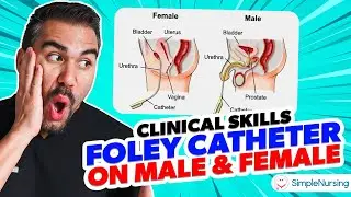 Foley Catheterization Demonstration: A Step-by-Step Guide for Male and Female Patients