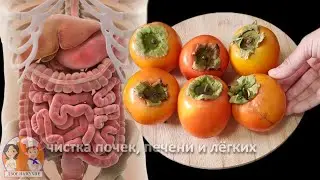 Фруктово-овощное смузи. Очищает почки печень и лёгкие.  Всего 3 дня и вся грязь вылетает