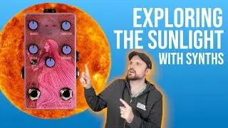 A Wild Textured Reverb Pedal - Old Blood Noise Endeavors Sunlight Review  With Synthesizers