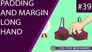 CSS Tutorial For Beginners 39 - Padding & Margin Long-hand